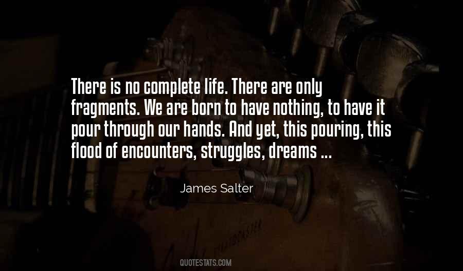 James Salter Quotes #1548415