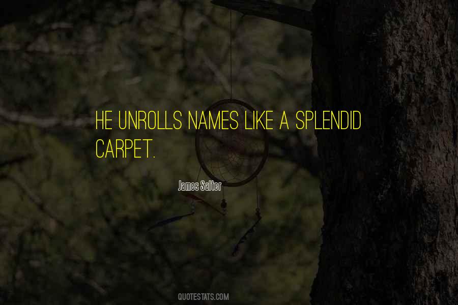 James Salter Quotes #1833316