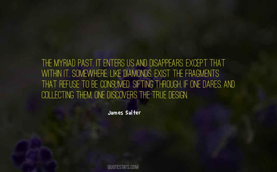 James Salter Quotes #369970