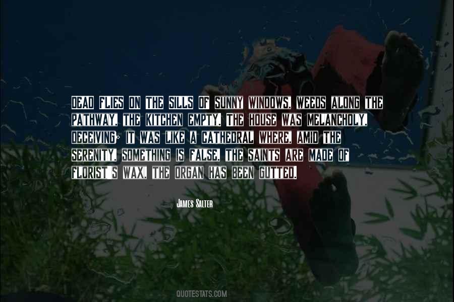 James Salter Quotes #509711