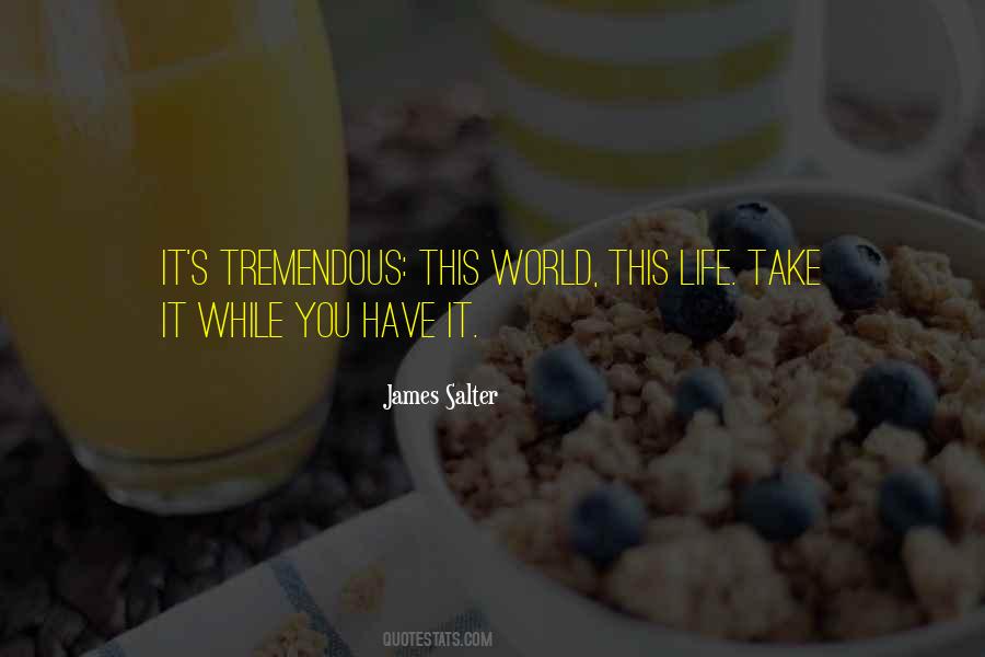 James Salter Quotes #532992
