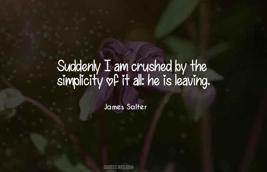 James Salter Quotes #6255