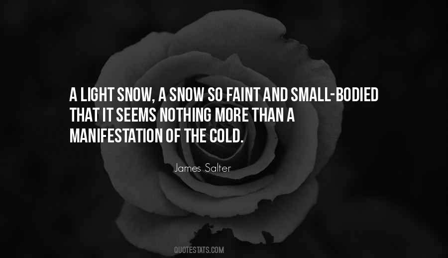 James Salter Quotes #705235