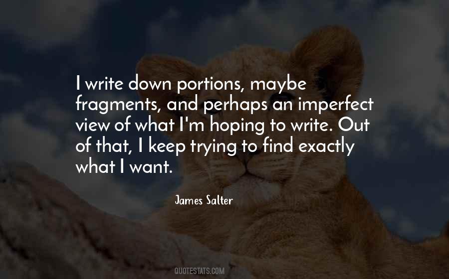 James Salter Quotes #891447
