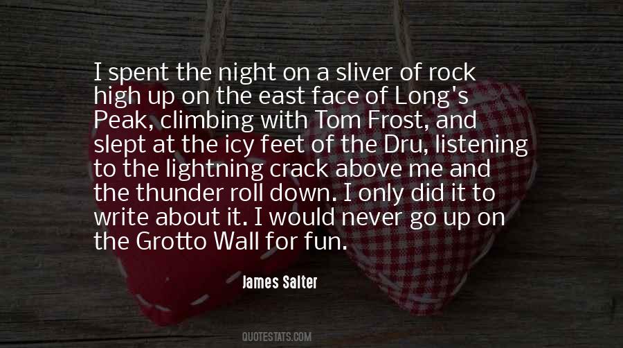 James Salter Quotes #968285