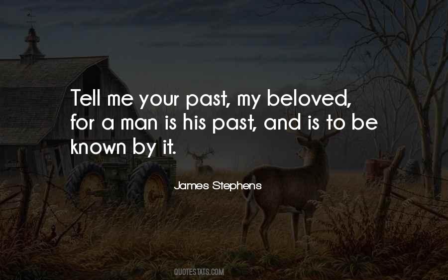 James Stephens Quotes #507142