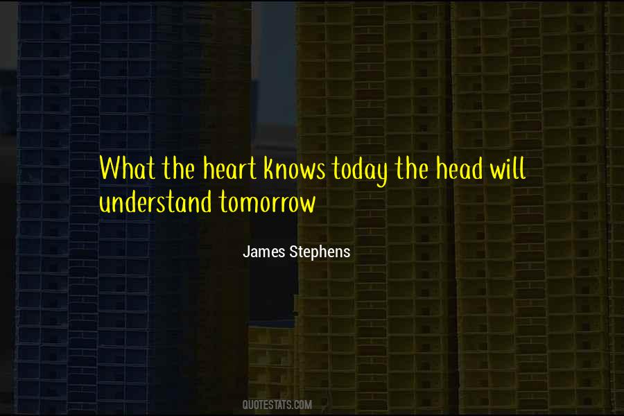 James Stephens Quotes #843611