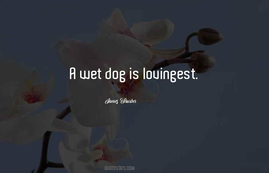 James Thurber Quotes #1036419