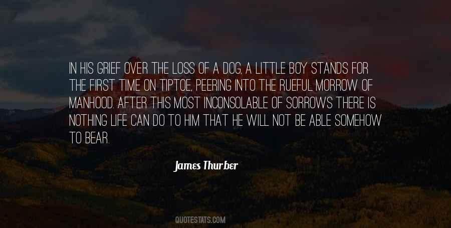 James Thurber Quotes #1206365