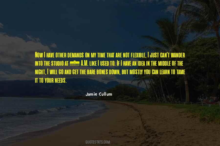 Jamie Cullum Quotes #363206