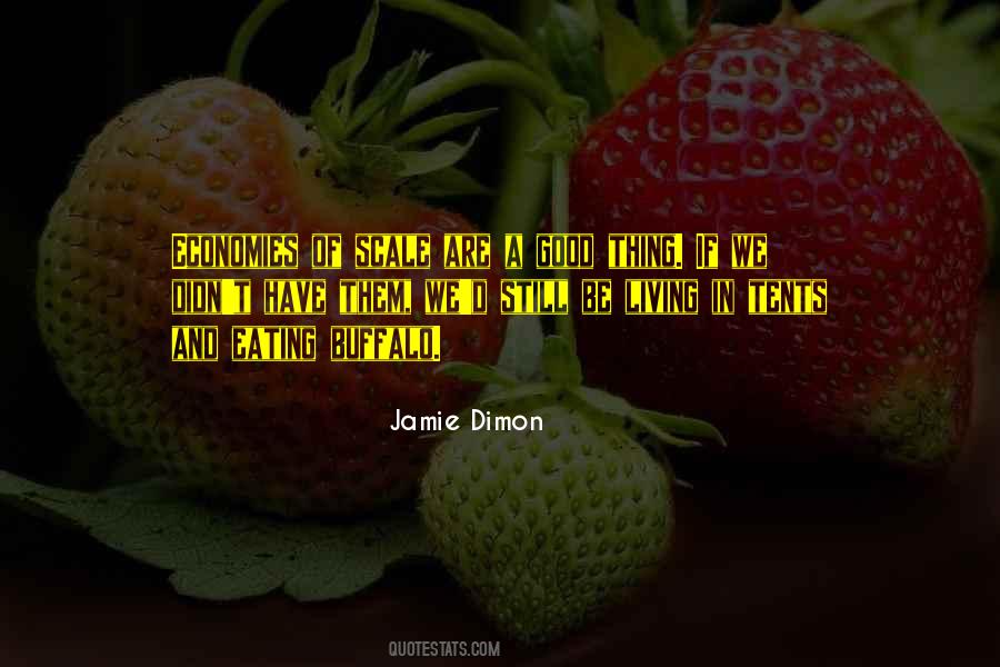 Jamie Dimon Quotes #473758 Jamie Dimon Quotes #473758