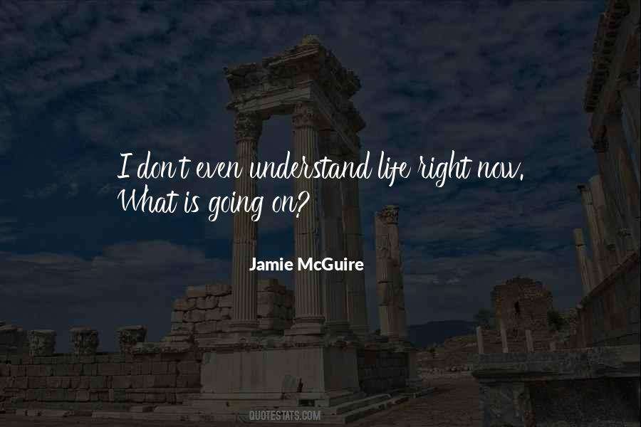 Jamie McGuire Quotes #920