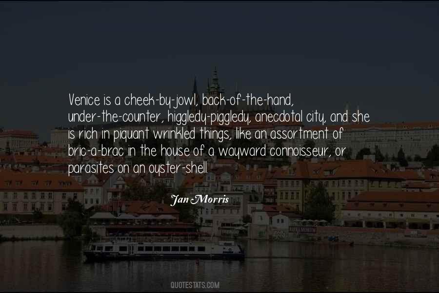 Jan Morris Quotes #1156389