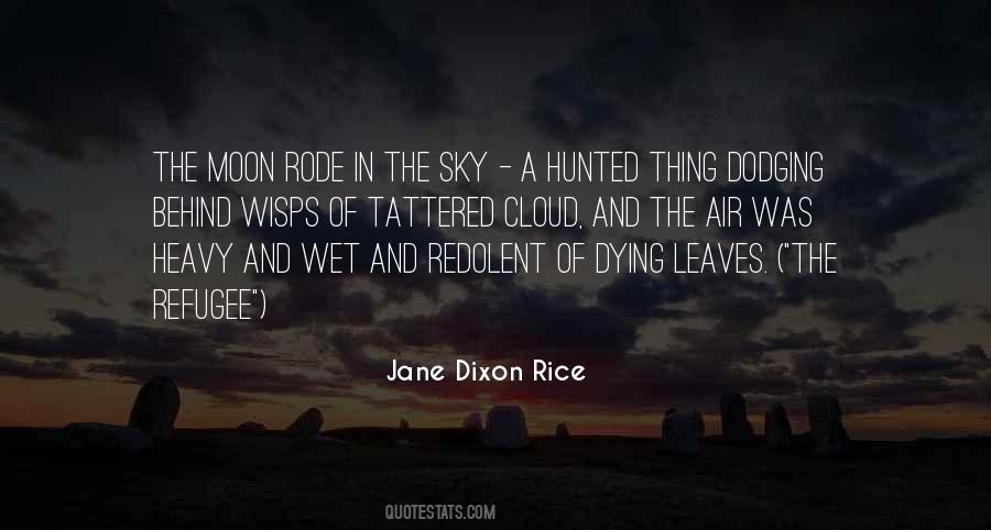 Jane Dixon Rice Quotes #1133704
