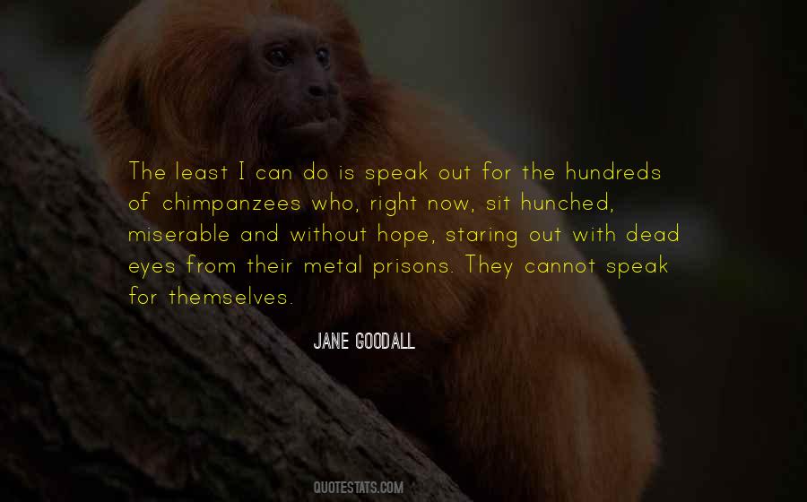 Jane Goodall Quotes #1137954