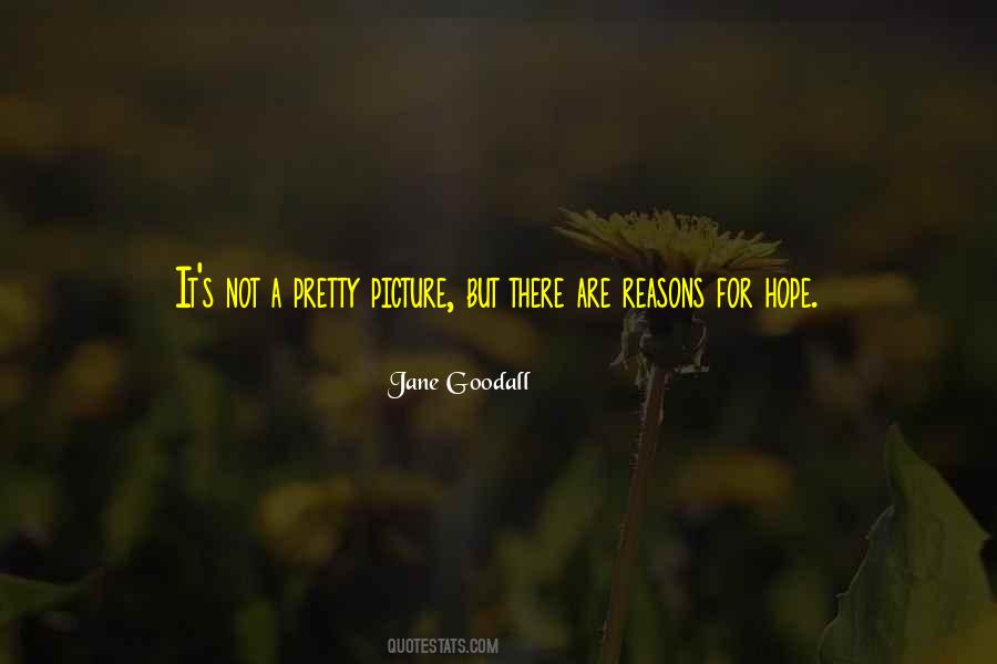 Jane Goodall Quotes #1147864