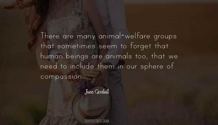 Jane Goodall Quotes #1416079