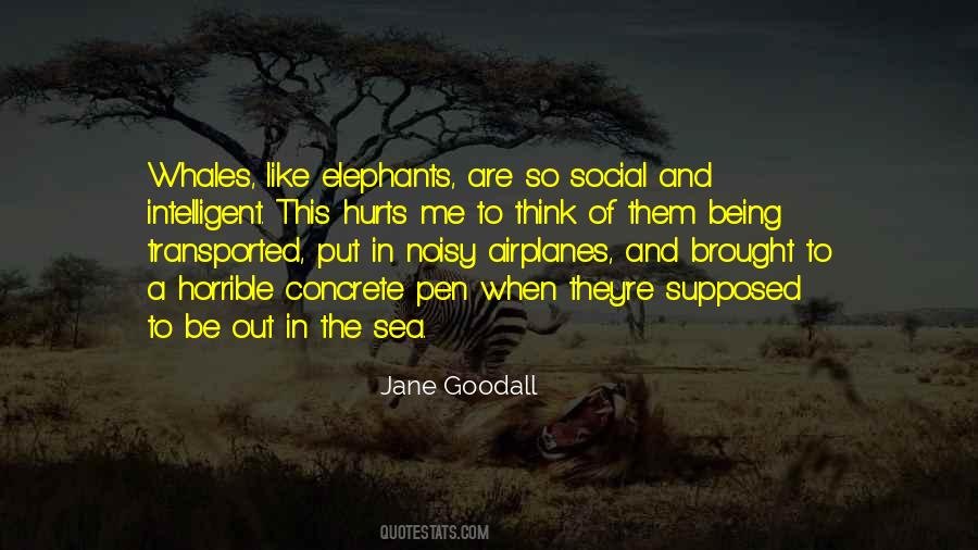 Jane Goodall Quotes #432774