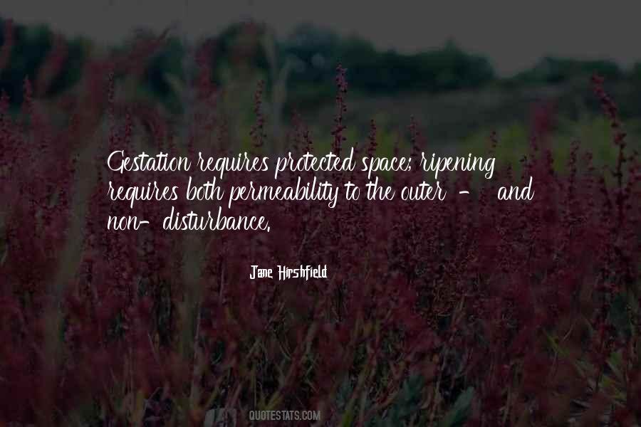 Jane Hirshfield Quotes #1100224