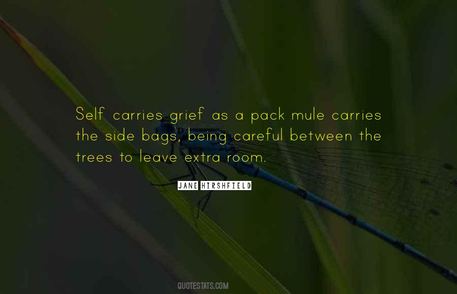 Jane Hirshfield Quotes #1701999
