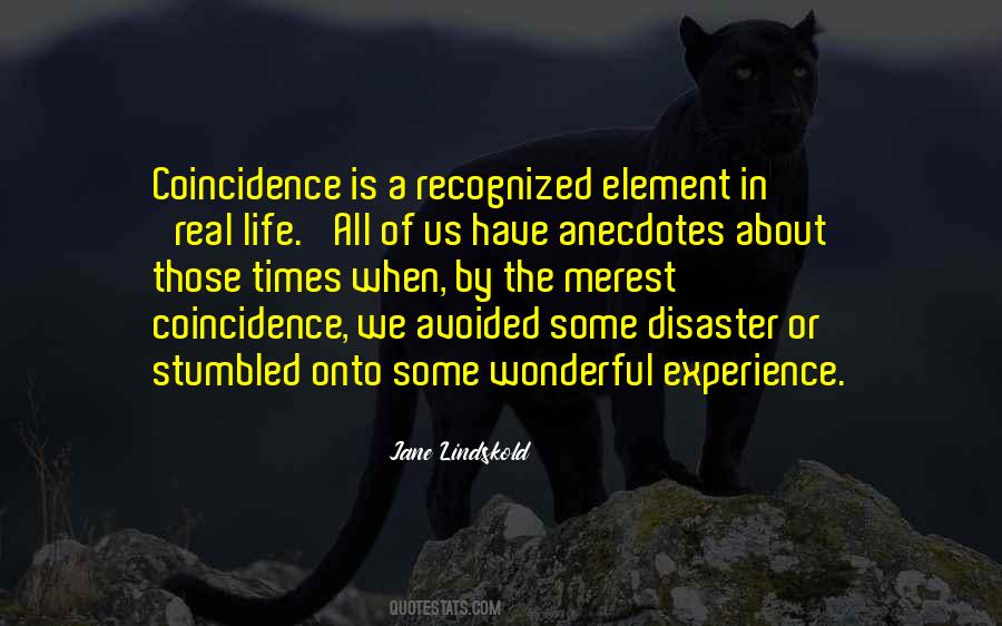 Jane Lindskold Quotes #132705