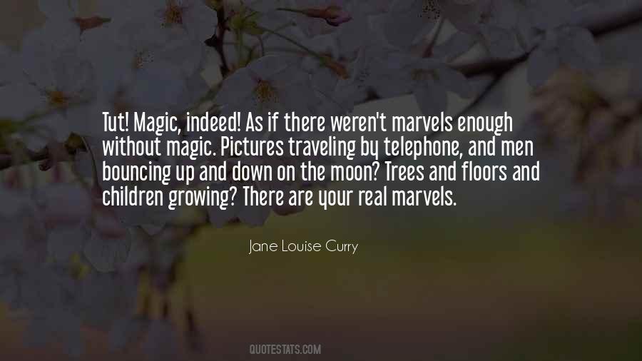 Jane Louise Curry Quotes #47805