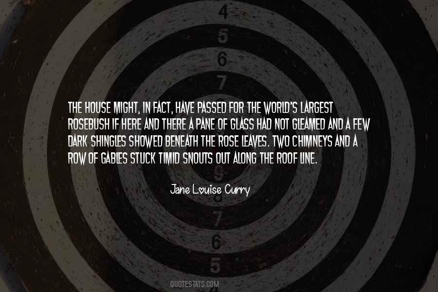 Jane Louise Curry Quotes #948473