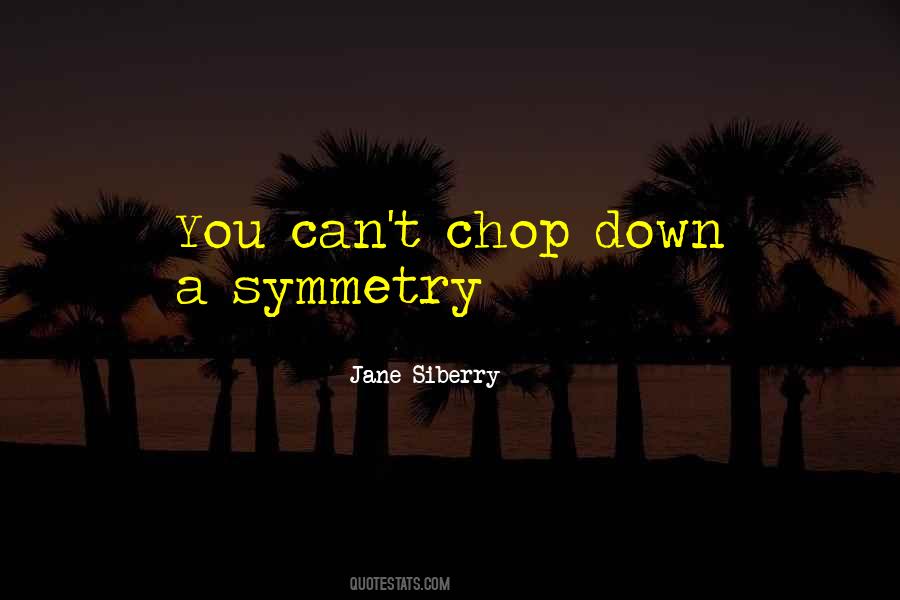 Jane Siberry Quotes #424723