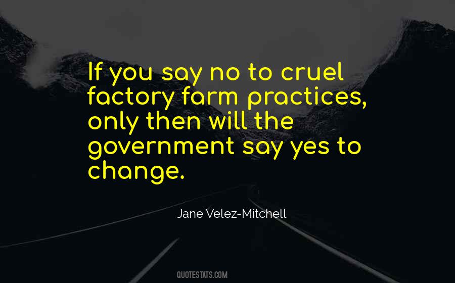 Jane Velez-Mitchell Quotes #1279207