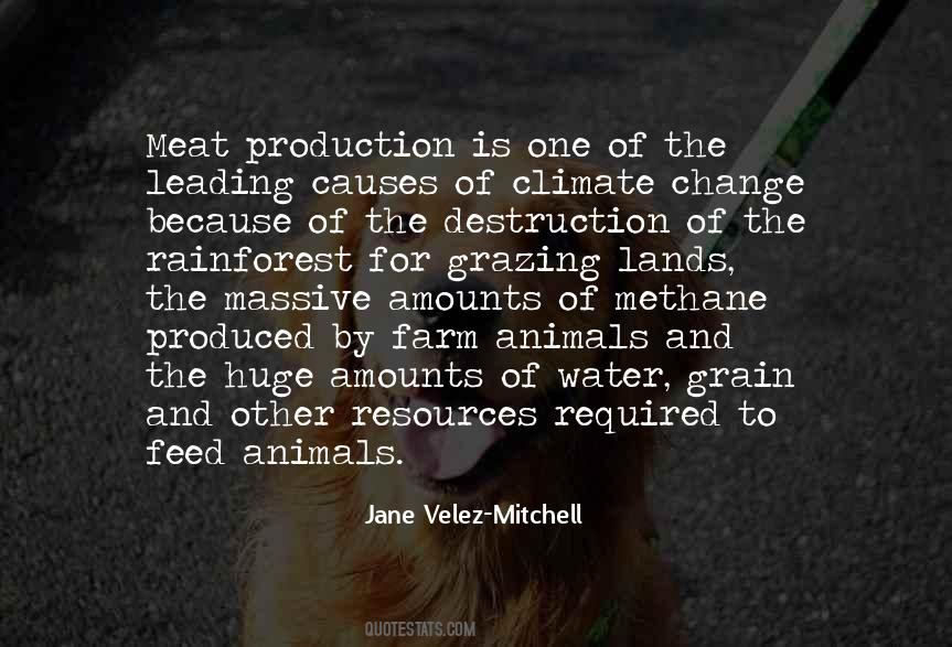 Jane Velez-Mitchell Quotes #1339540