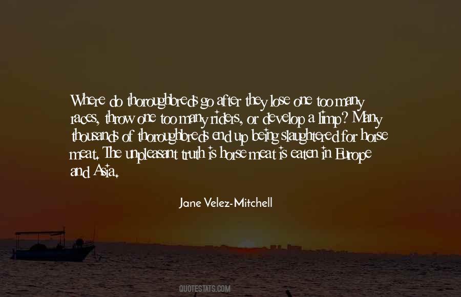 Jane Velez-Mitchell Quotes #1450186