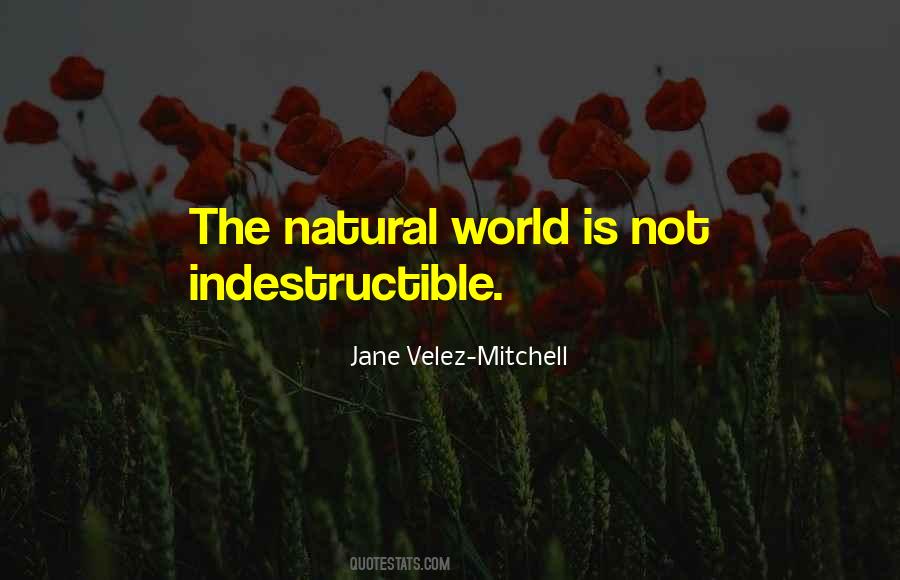 Jane Velez-Mitchell Quotes #1465429
