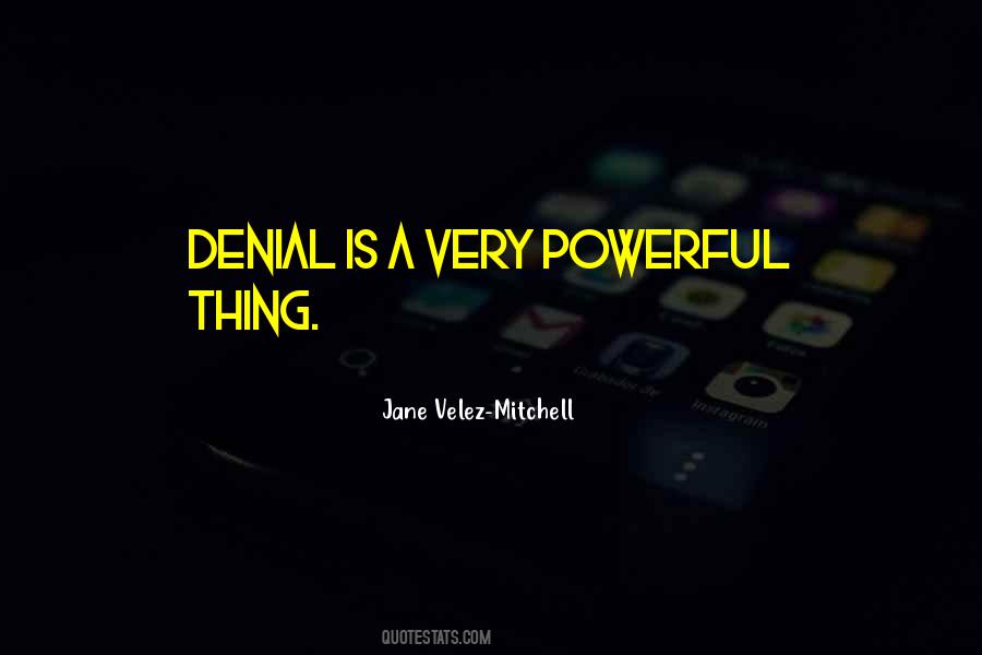 Jane Velez-Mitchell Quotes #1481075