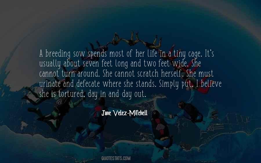 Jane Velez-Mitchell Quotes #1641228