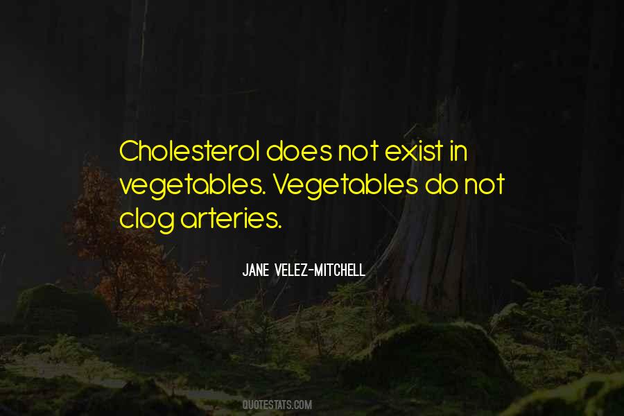 Jane Velez-Mitchell Quotes #732619