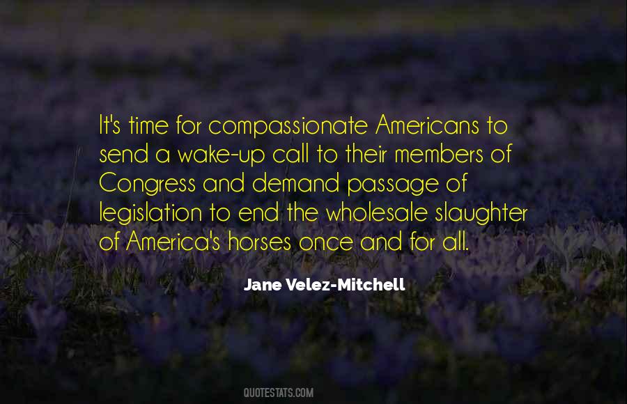 Jane Velez-Mitchell Quotes #974087