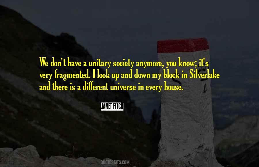 Janet Fitch Quotes #1034135