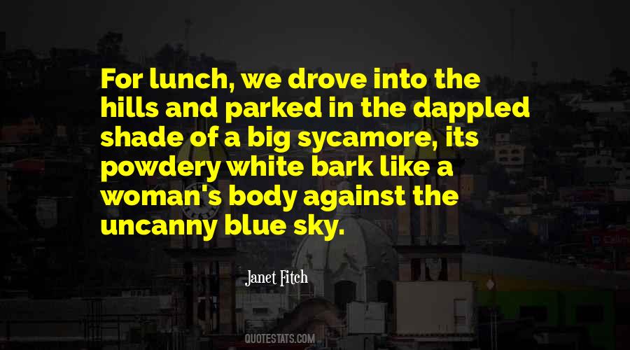 Janet Fitch Quotes #1451859
