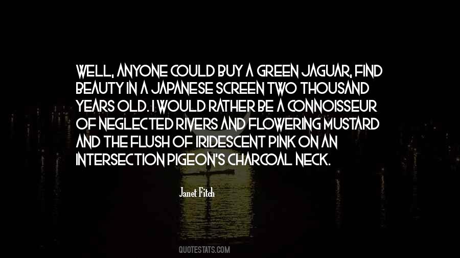 Janet Fitch Quotes #1873040