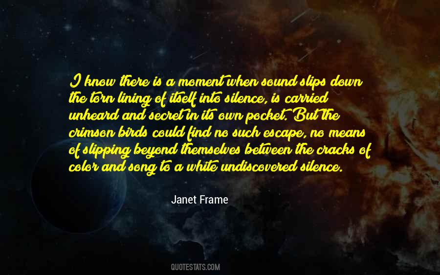 Janet Frame Quotes #1329633