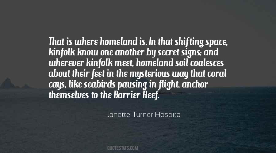 Janette Turner Hospital Quotes #590108