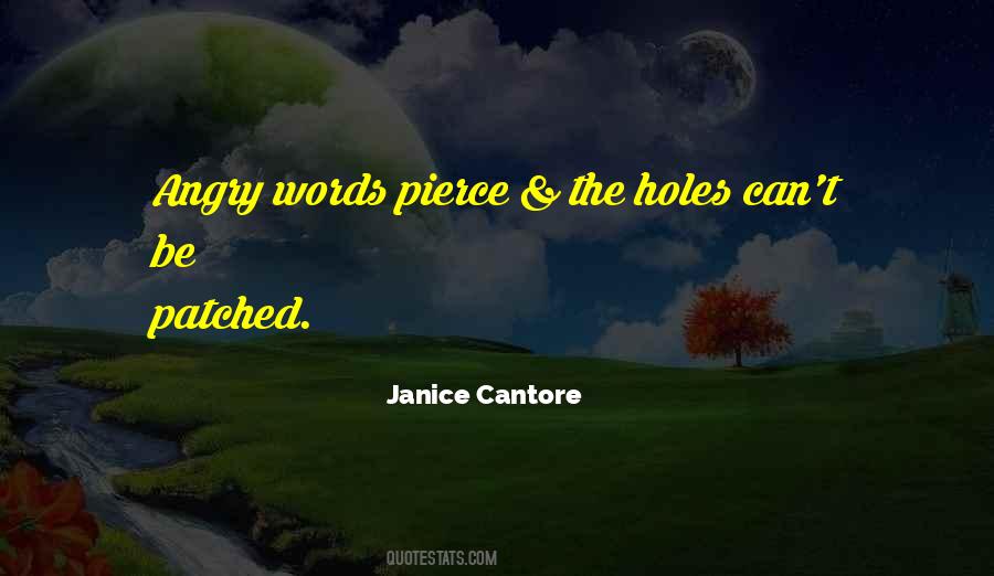 Janice Cantore Quotes #1513475