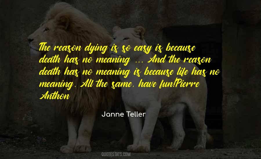 Janne Teller Quotes #35188