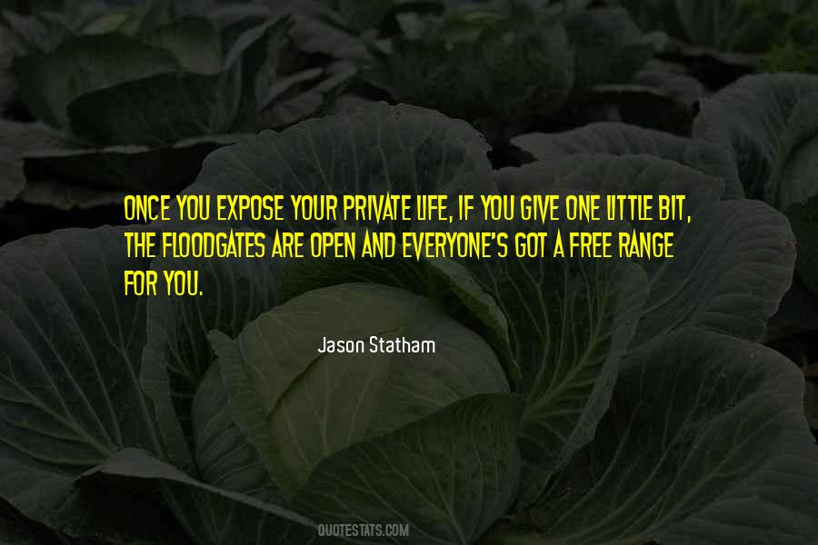 Jason Statham Quotes #135617