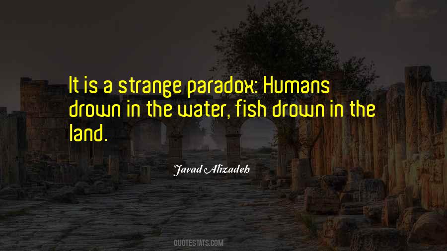 Javad Alizadeh Quotes #782389