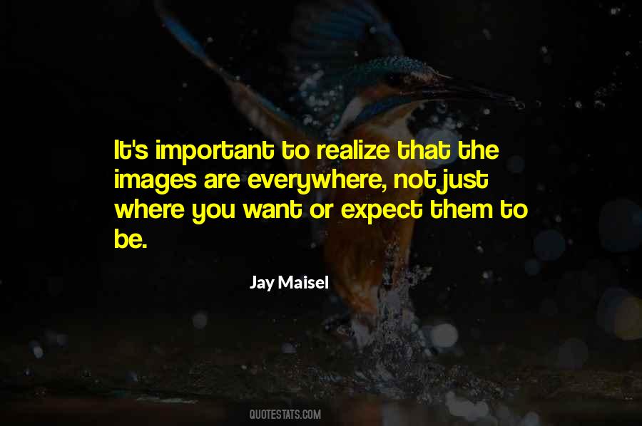 Jay Maisel Quotes #46157