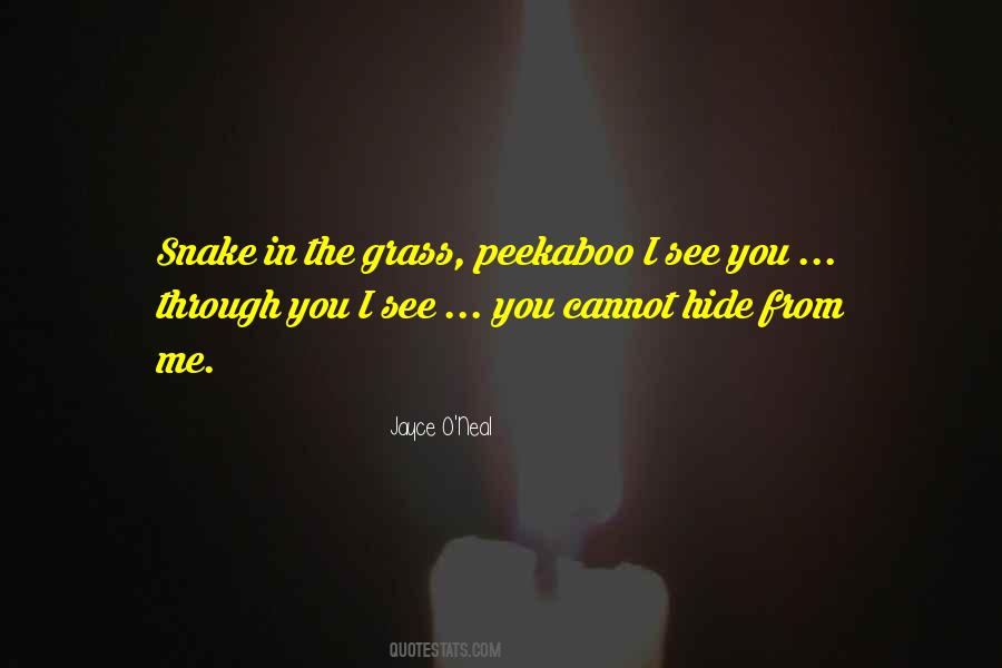 Jayce O'Neal Quotes #289141