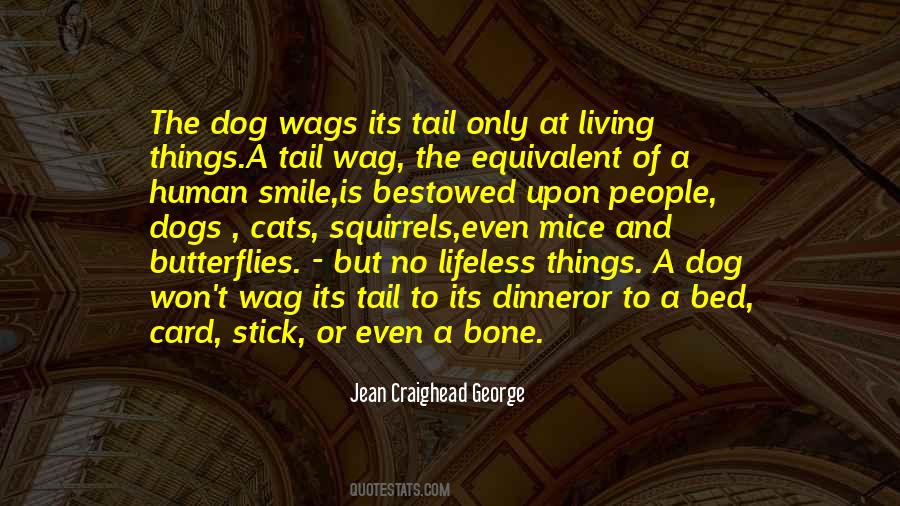 Jean Craighead George Quotes #1534303