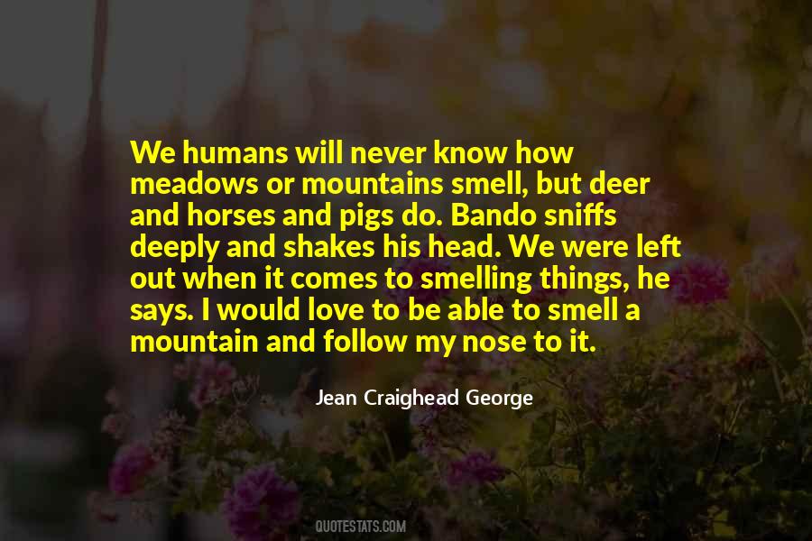 Jean Craighead George Quotes #519707