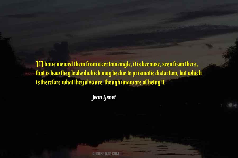 Jean Genet Quotes #1446359